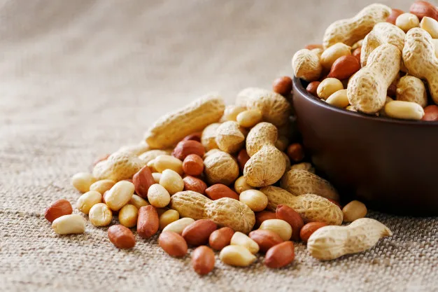 Top Grade Rich in Protein Raw Peanuts Dried Nuts Exporter at Wholesale Price