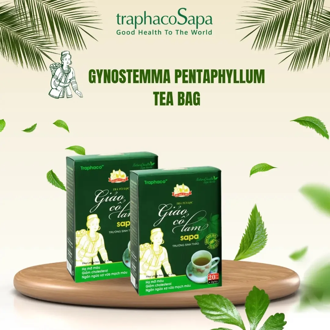 100% Organic Gynostemma Pentaphyllum Herbal Tea From Vietnam Blended with Sweet Taste 36 Months Shelf Life