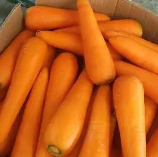 Свежие овощи и