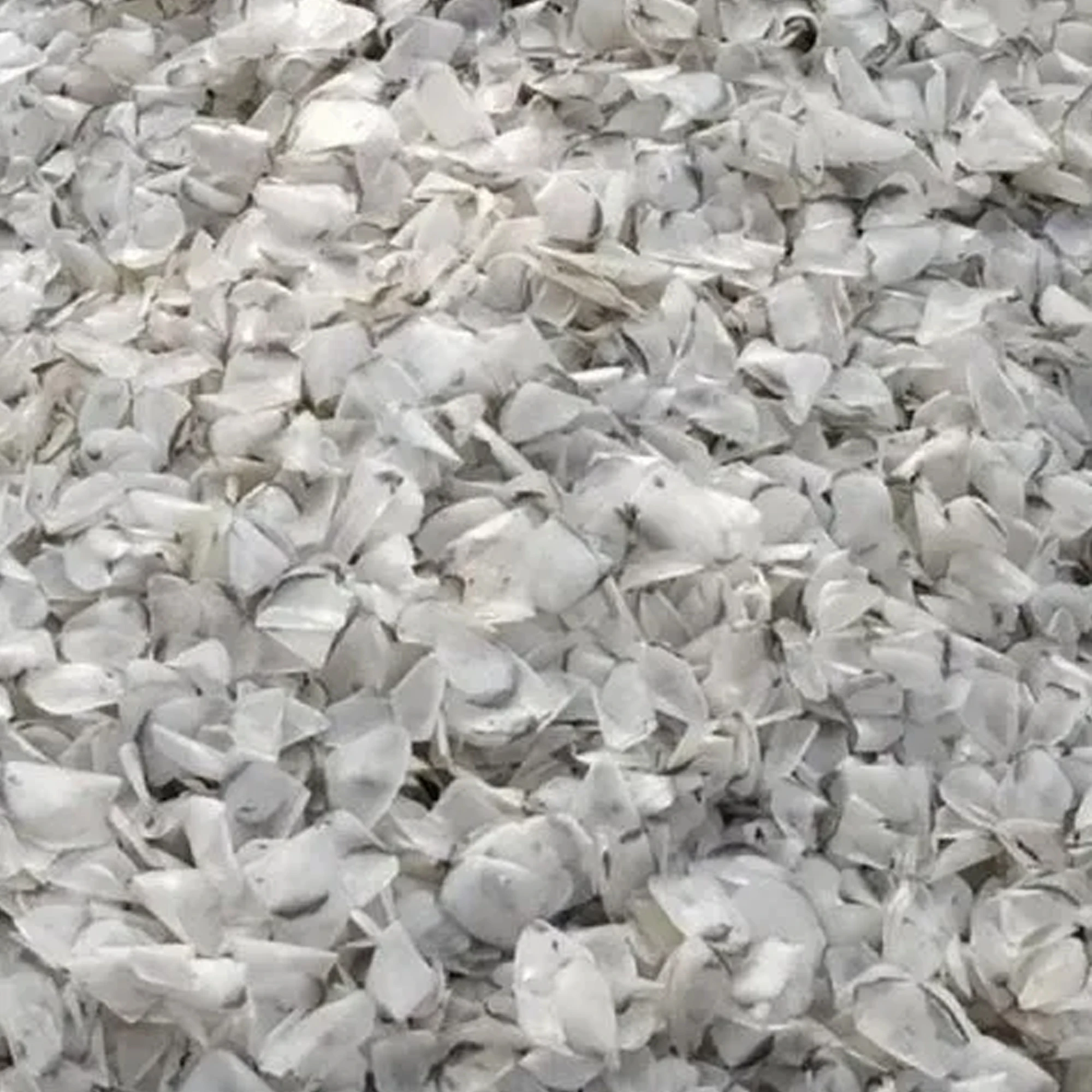 Premium Quality Export Oriented Wholesale Special Seafood Dried Fish Scale Custom Package Tilapia Fish Scales From Bangladesh