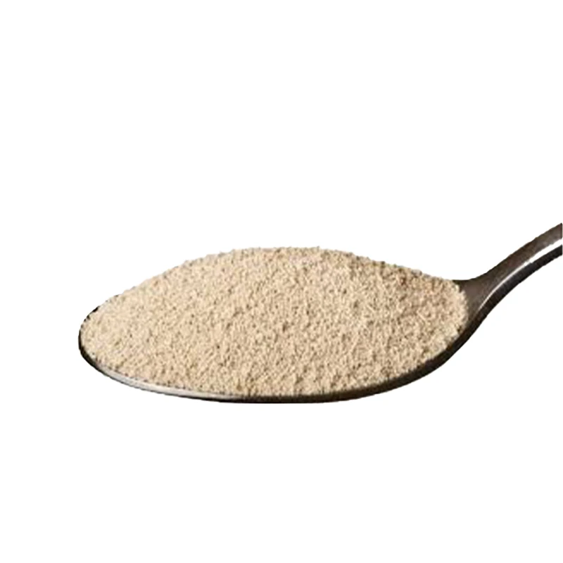 High Quality Made in Italy Instant Dry Yeast ALEAFERM BAKY Bakery Yeast Swelling Yeast For Bread For Sale