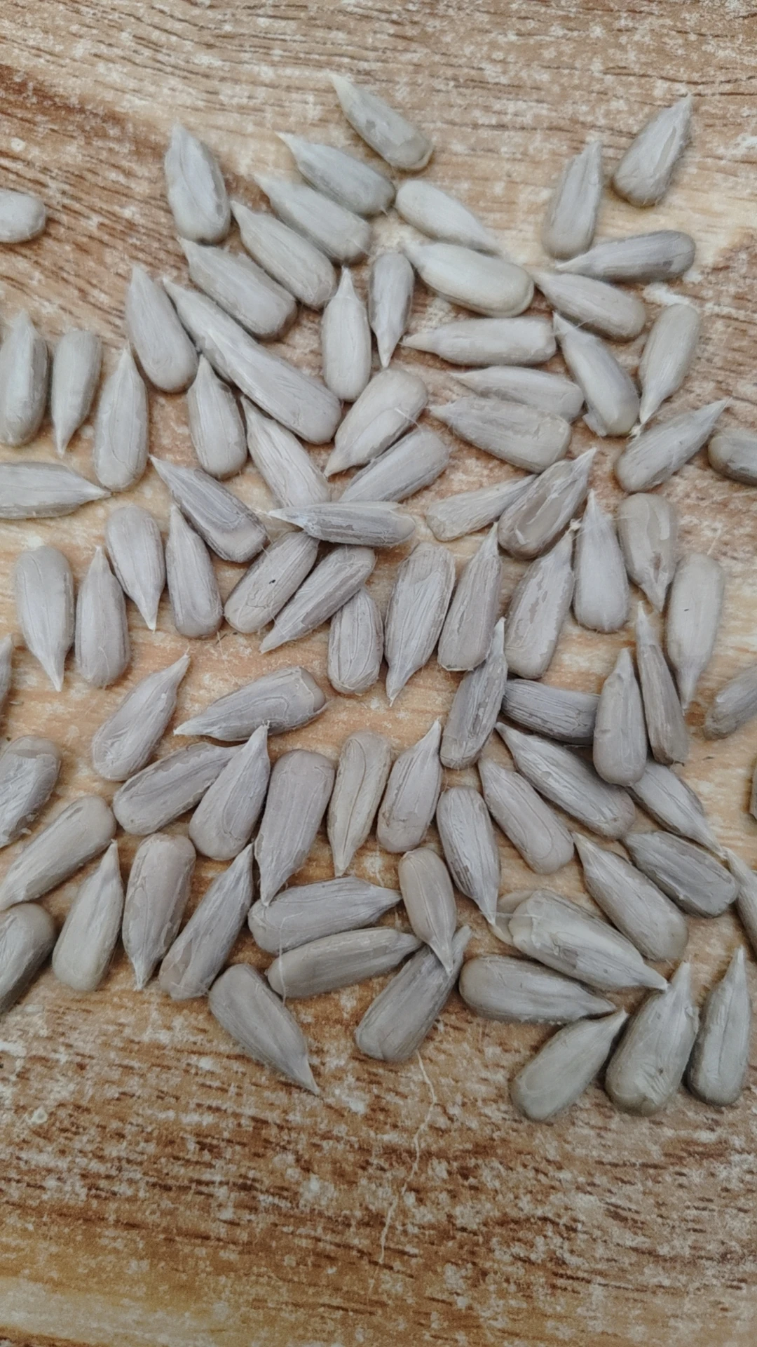 T6 180-190 190-200 200-210 new crop sunflower seeds best price and quality seeds from China Inner Mongolia