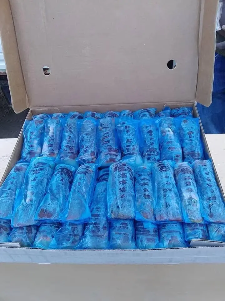 Canadian Frozen Lobster Tails Fresh Lobsters for sell Frozen Lobsters for Sale at Cheap Price