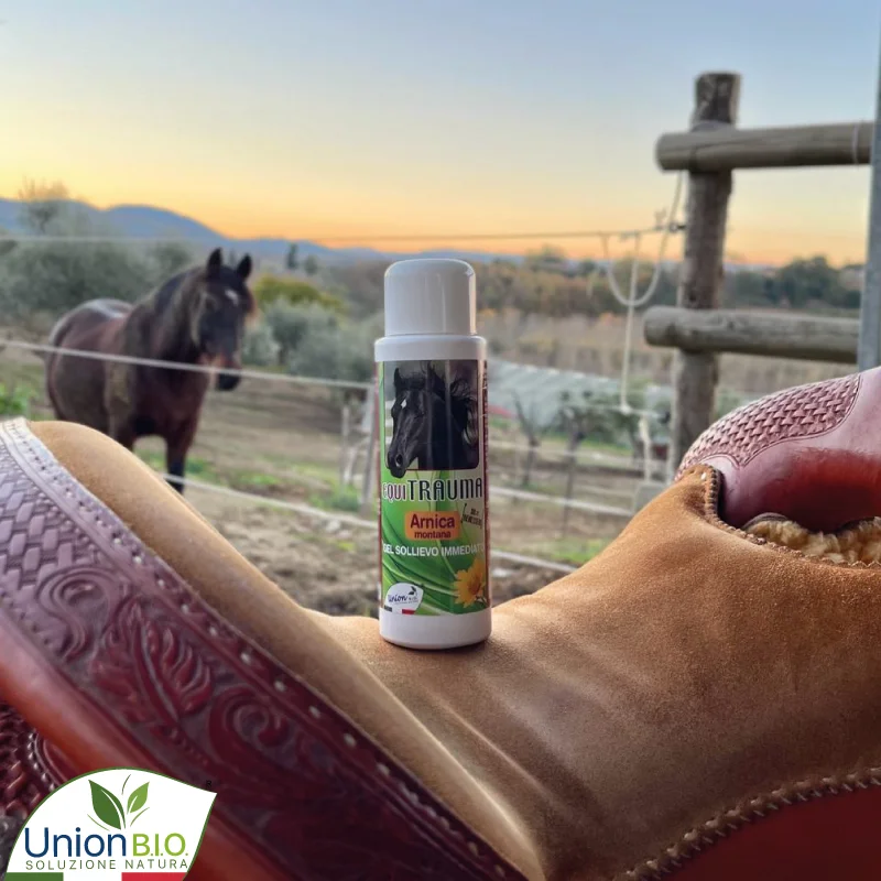 Top quality made in Italy plant based formulation EQUITRAUMA natural gel with arnica for horses