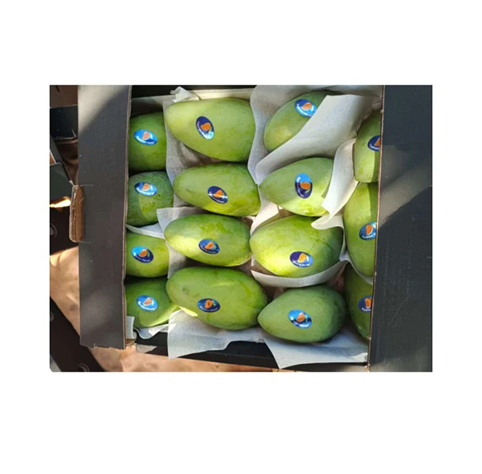 Excellent Quality Best Selling Original Natural and Delicious Fruit Fresh Mangoes from Egypt Origin Supplier at Bulk Price