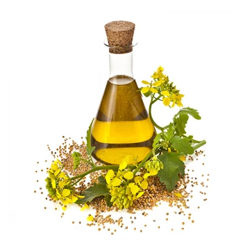Organic Premium Bulk Canola Oil Unique Cheap Wholesale Rapeseed Oil from France Refined Crude Processing Packed in Glass Bottles