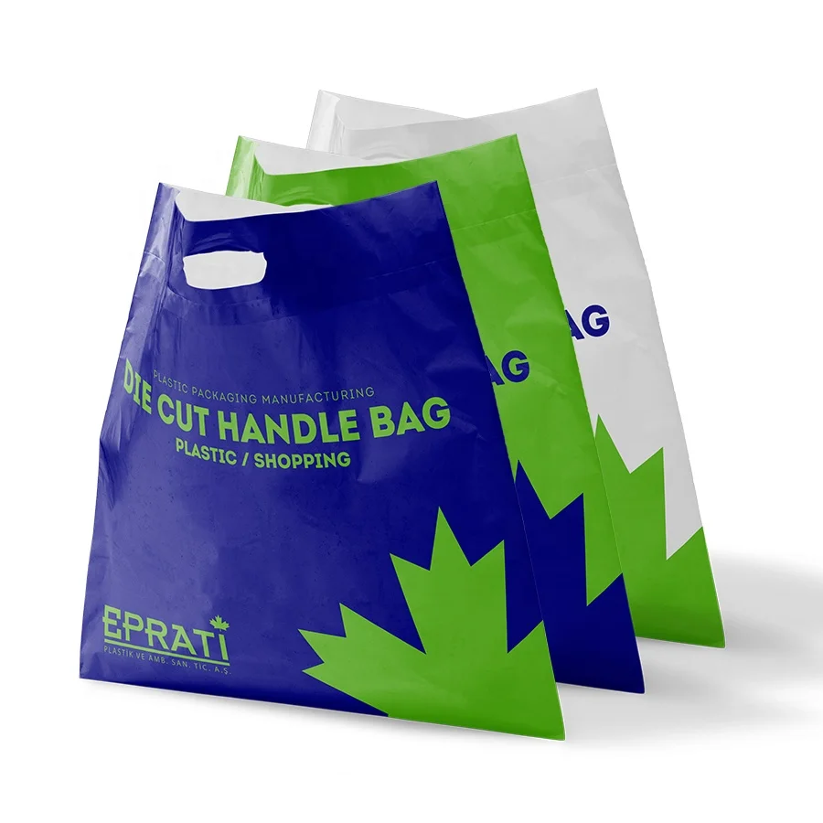High Quality Biodegradable Low Price Die Cut Handle Bag with Logo for Pharmacy Hospital Use for Medicine Packaging from Turkey