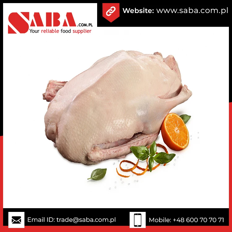 Poland Manufacturer Frozen Halal Goose fat Buy At Bulk Price