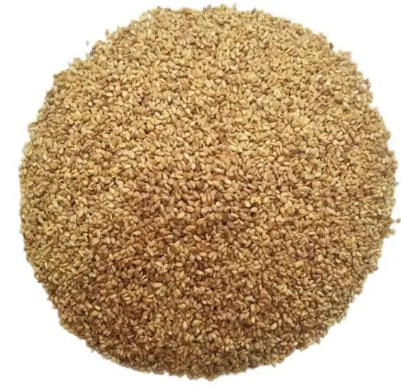 High Quality Golden Sesame Seeds Premium Agriculture Product