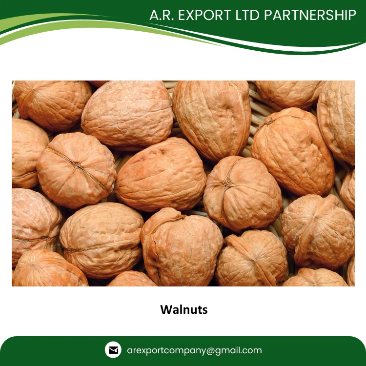 Factory Price Wholesale Traders Supply Top Quality Fresh and Natural Kernels Walnuts in Shell Dry Fruit for Wholesale Buyers