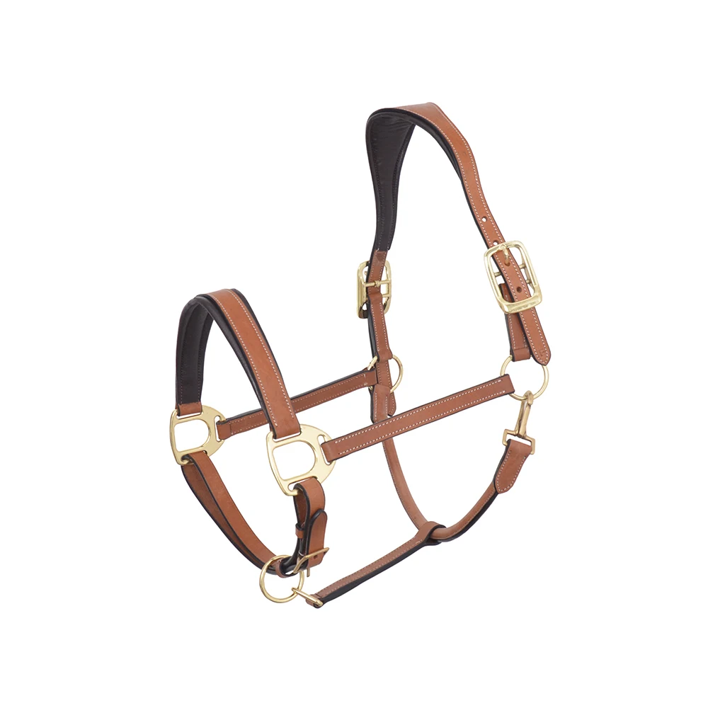 Horse Padded Halter Genuine Leather Fancy Stitched Leather Horse Halter Buy At Lowest Price On Bulk Order