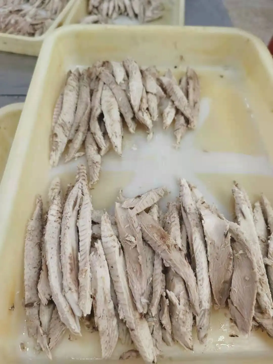 Fillet Part Single Clean Frozen Cooked Tuna Skipjack tuna Loin with flakes 10 Percent precooked tuna loin