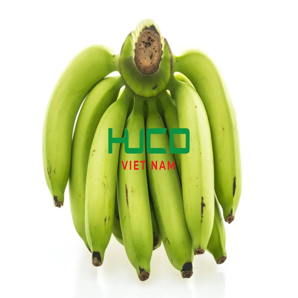 Tropical Banana Organic Vietnam Best Brand Supplier Wholesaler Fresh Natural