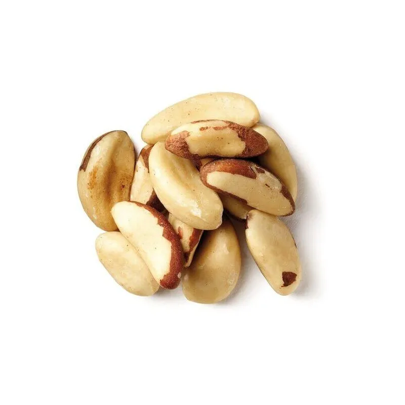 100% Pure Natural High Quality Brazil Nuts Wholesale