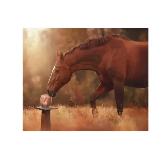 Organic Material Himalayan Salt Block Animal Lick Salt Pink Salt Lick Lump for Live stock cattle feed dog horse goat cat cow