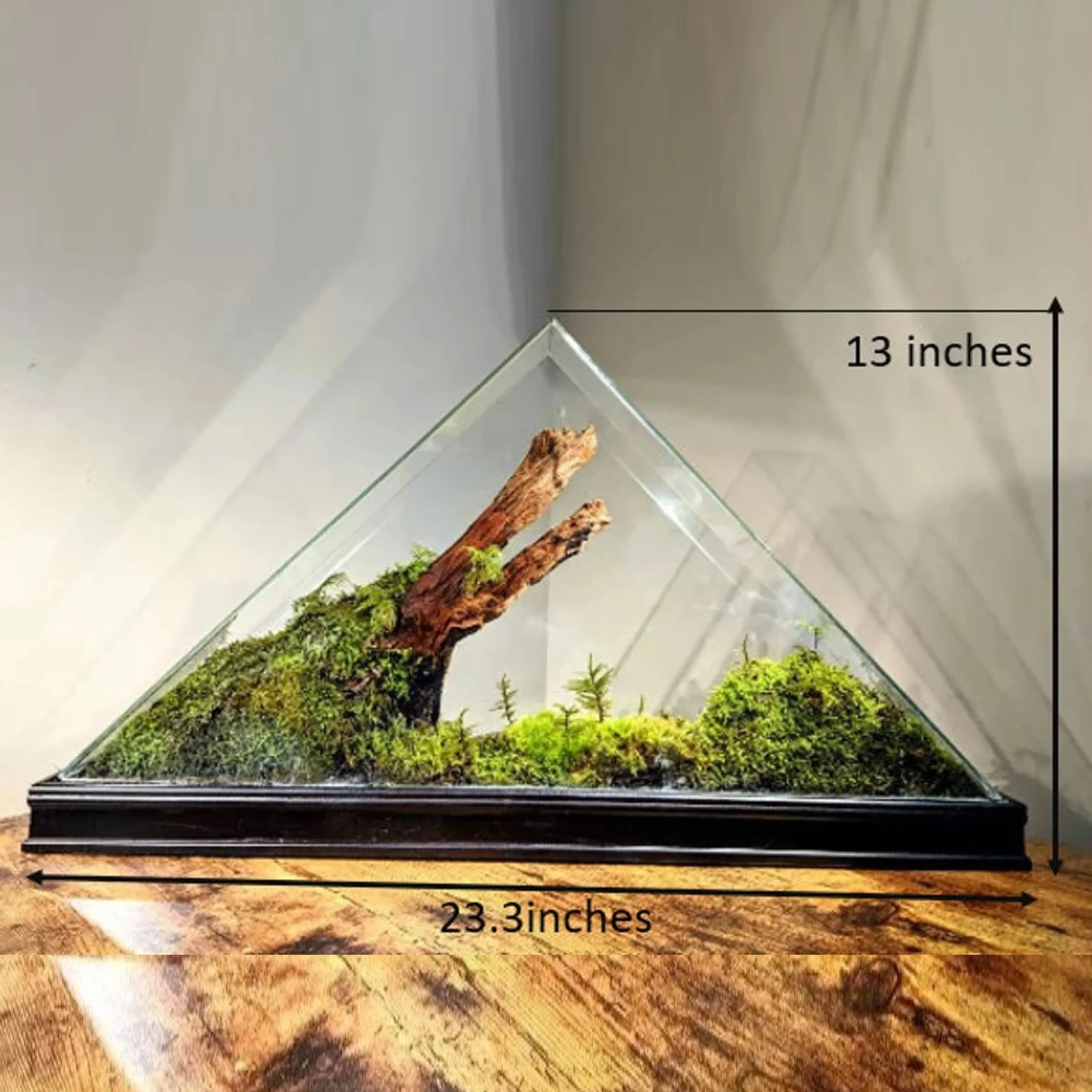 Best Price Large Triangular Glass Succulent Plant Terrarium Planter with Iron Frame for Home Garden Office Decoration.