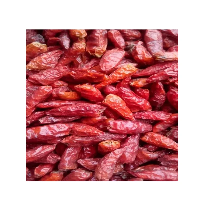 Wholesale Price Best Quality Hot Selling Spices & Herbs Dried Red Hot Spice Round Stemless Red Chilli Pepper from Nigeria