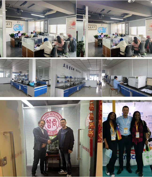 E    China Factory Direct Supply  Manufacturer  fast delivery 99% LACTALBUMIN HYDROLYSATE CAS 68458-87