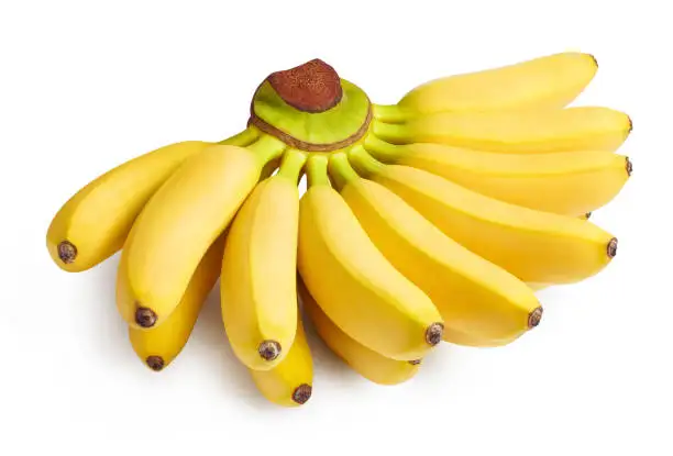Fresh Premium Yellow  Sweet Banana High Quality Best Price in Indian Supplier