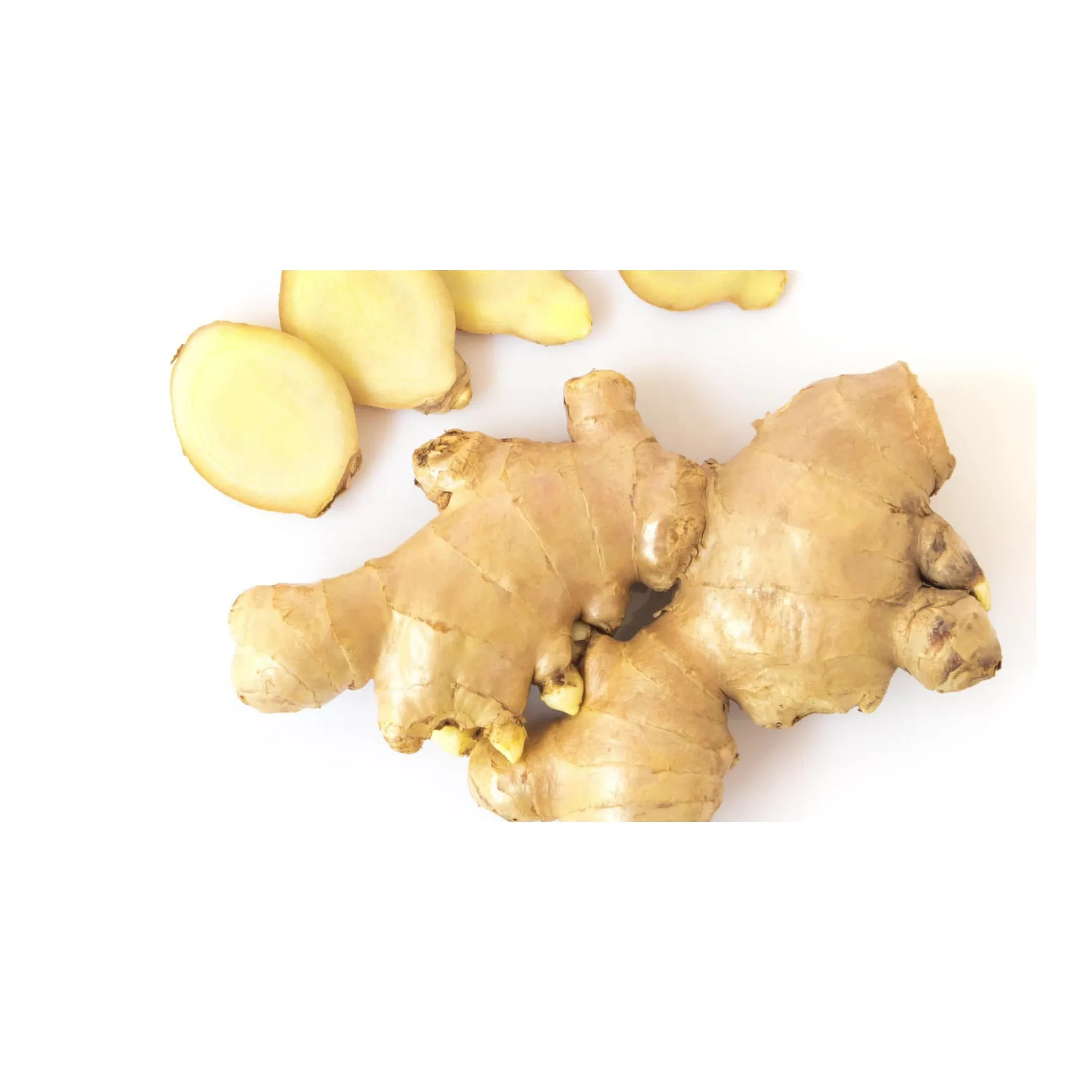 fresh ginger and air dry ginger with cardboard box and plastic carton