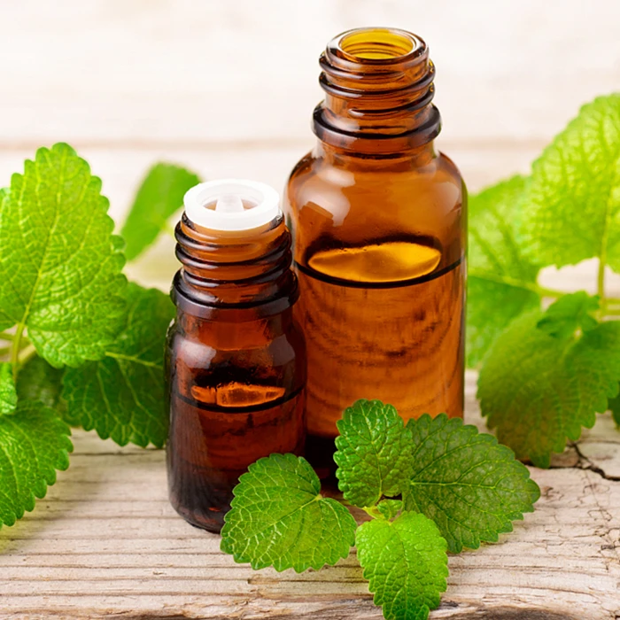 300-2000L  Factory price vanilla lemongrass  citronella Essential oil extraction machine melissa Essential Oil Distiller