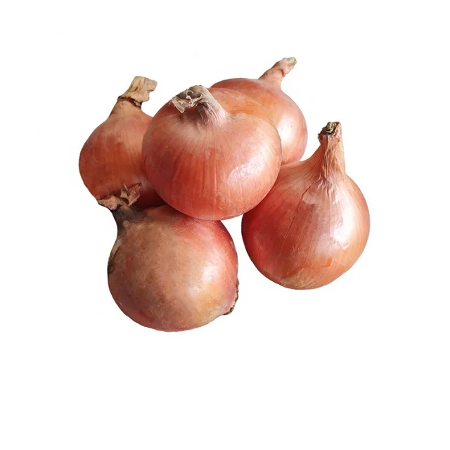 Hot sale fresh Thailand small size yellow red onion