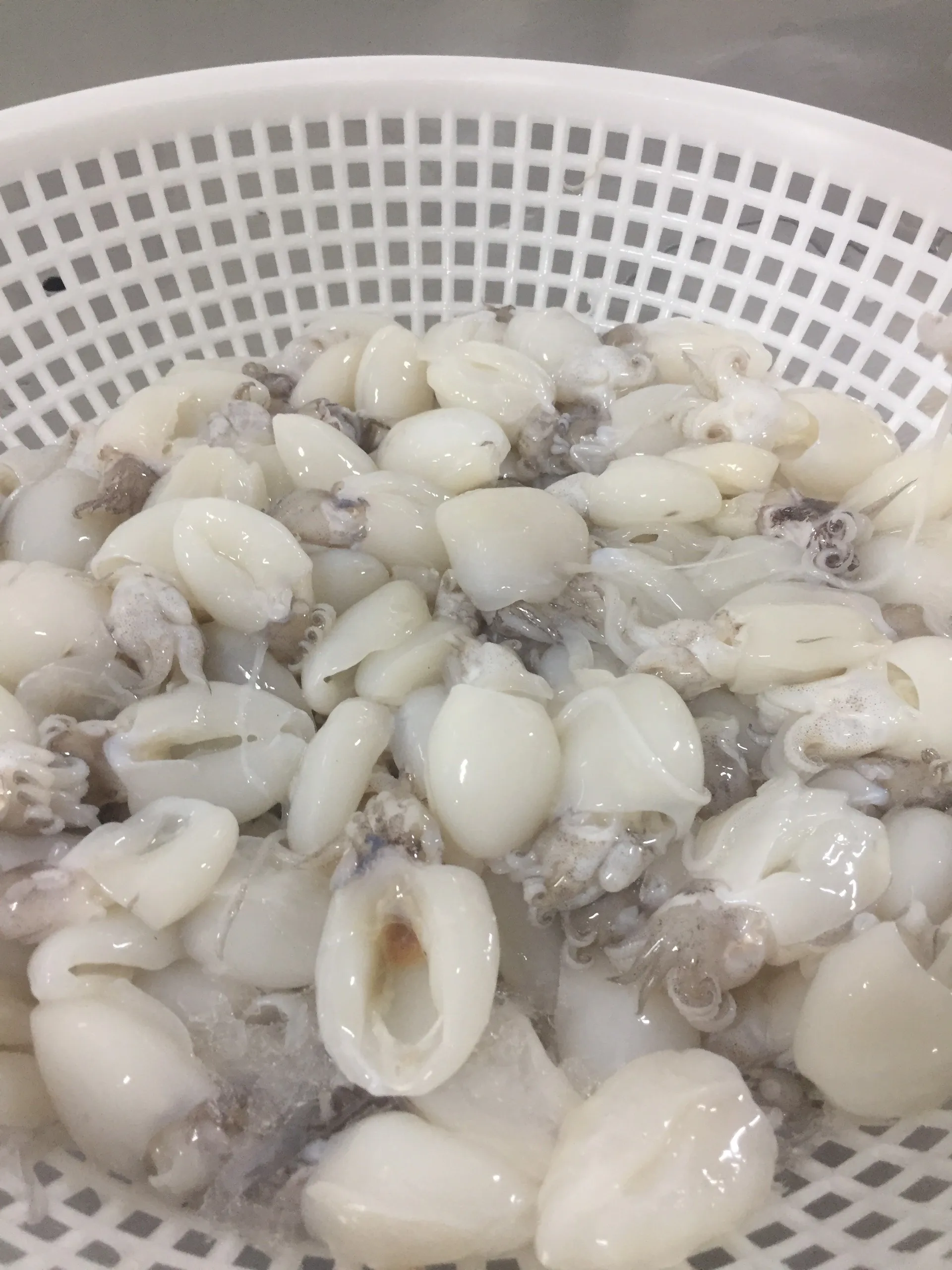 Вакуумная упаковка для замороженных морепродуктов самые продаваемые продукты IQF питательные приготовление каракатиц +