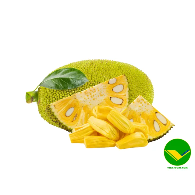 High Quality Fresh Jackfruit Wholesale Sweet Vietnamese Tropical Fruit for Eating Economically Priced