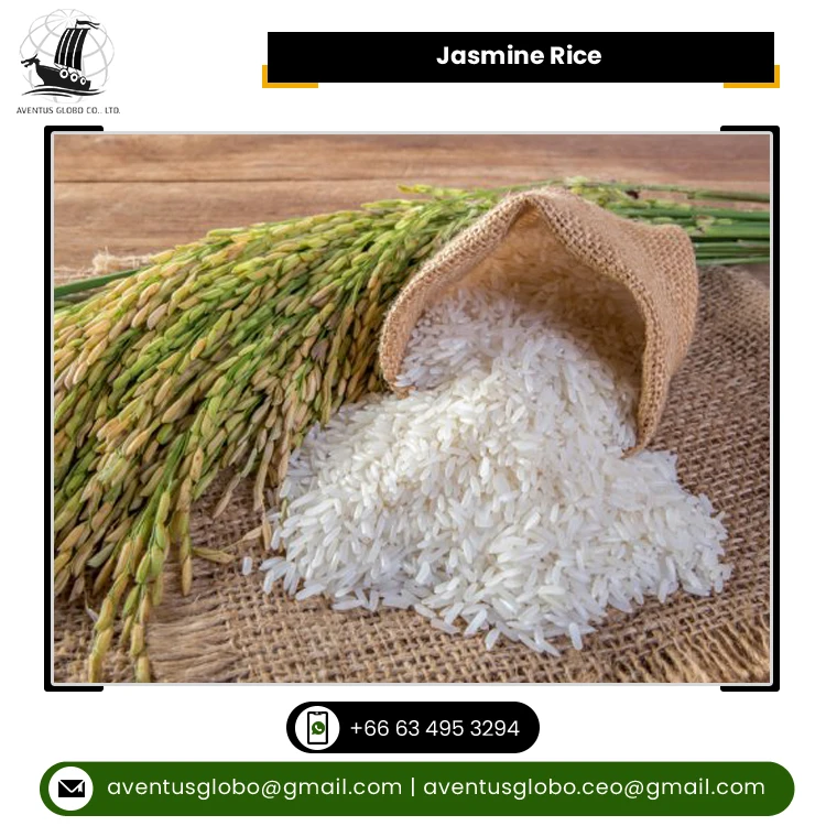 Optimum Quality Common Cultivation Type Long Grain Fresh and Natural Hard Texture Jasmine Rice for Wholesale Purchase