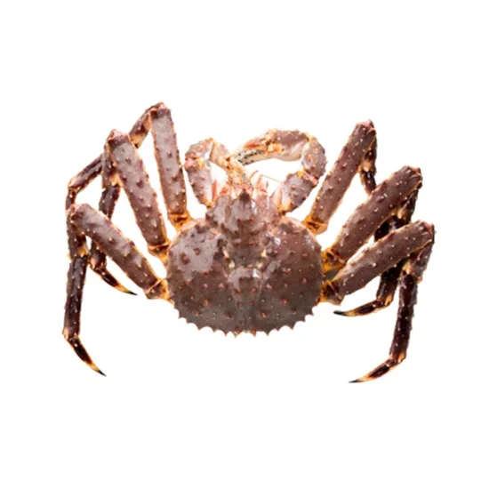 Top Quality FRESH SEAFOOD, Frozen King Crab For Sale, Live King Crabs at good discount Prices