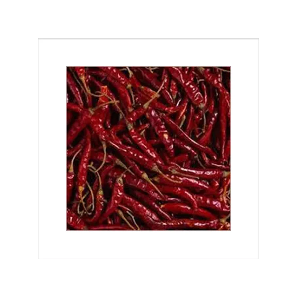 New Arrival Export Variety Natural Dried Spicy Hot Chili Single Spices & Herbs Wonder Hot Stick Chili from Indian Manufacture