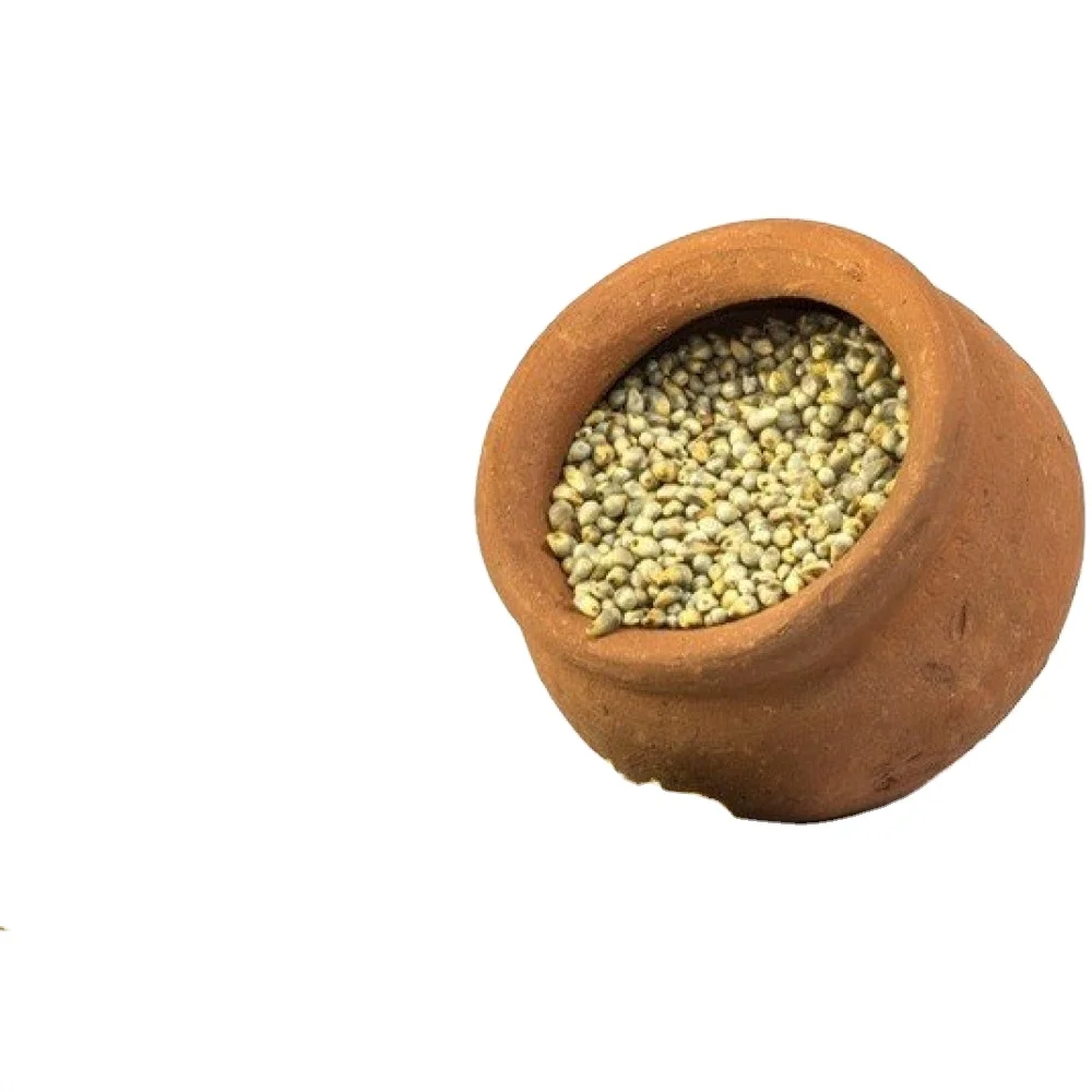 Green Millet Animal Feed Available for Export