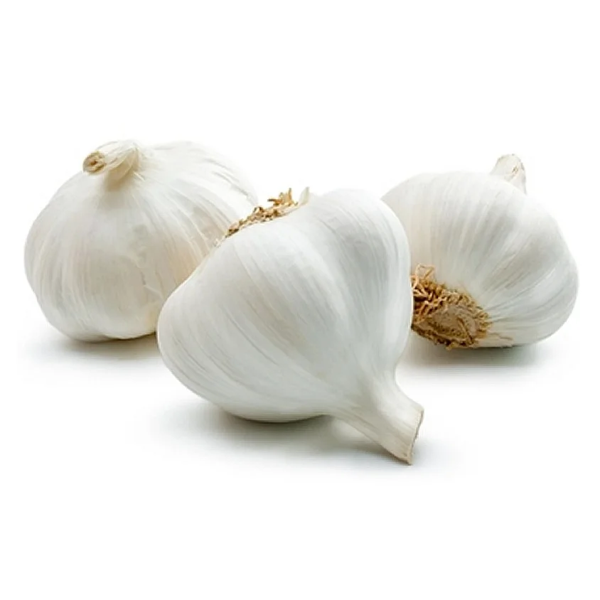 100% Natural Quality Fresh White Garlic Fresh Vegetable Bulk Garlics For Sale