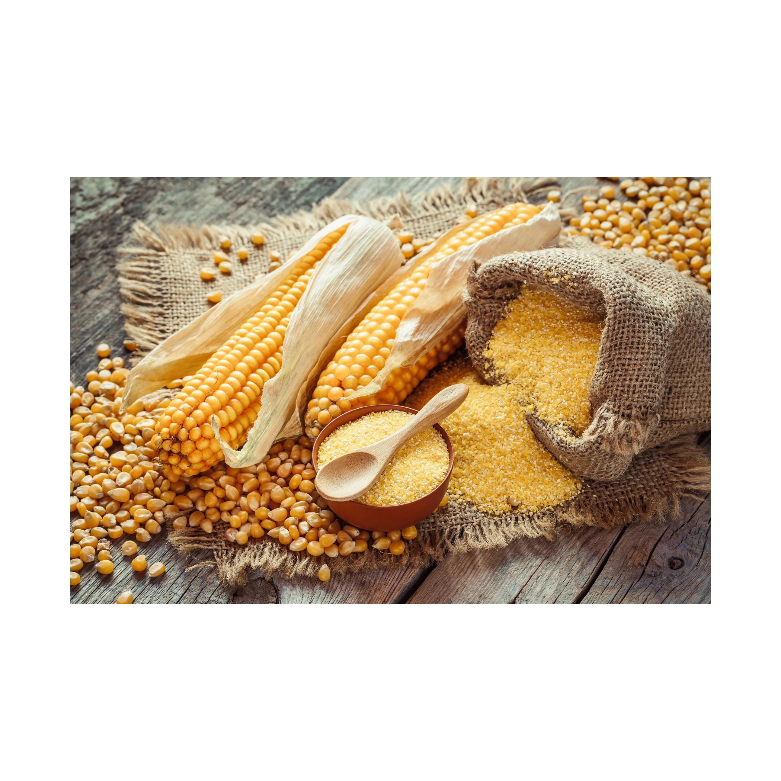 Factory direct supply cheap price corn starch tapioca starch cassava flour corn pre-gelatinized starch