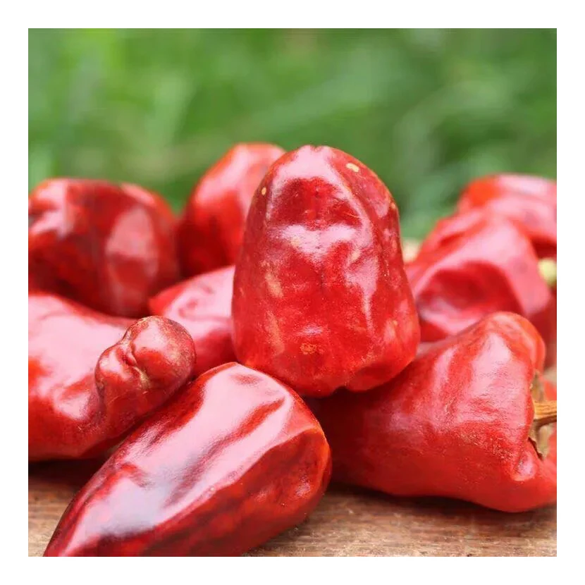 Wholesale Supplier Best Quality Chili Pepper Seeds For Sale In Cheap Price high quality natural dry red hot chili