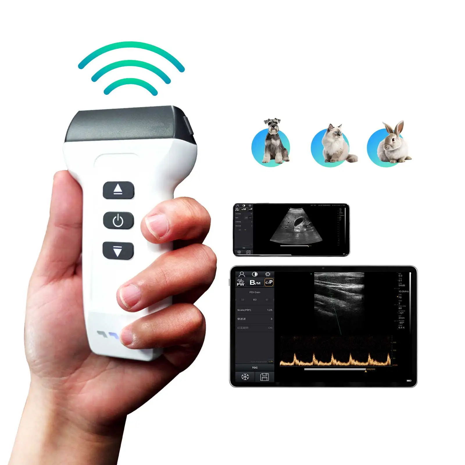 Dawei Wireless Veterinary Ultrasound Scanner Portable Pregnancy Test Pig Dog Pet Handheld Ultrasound Machine Probe