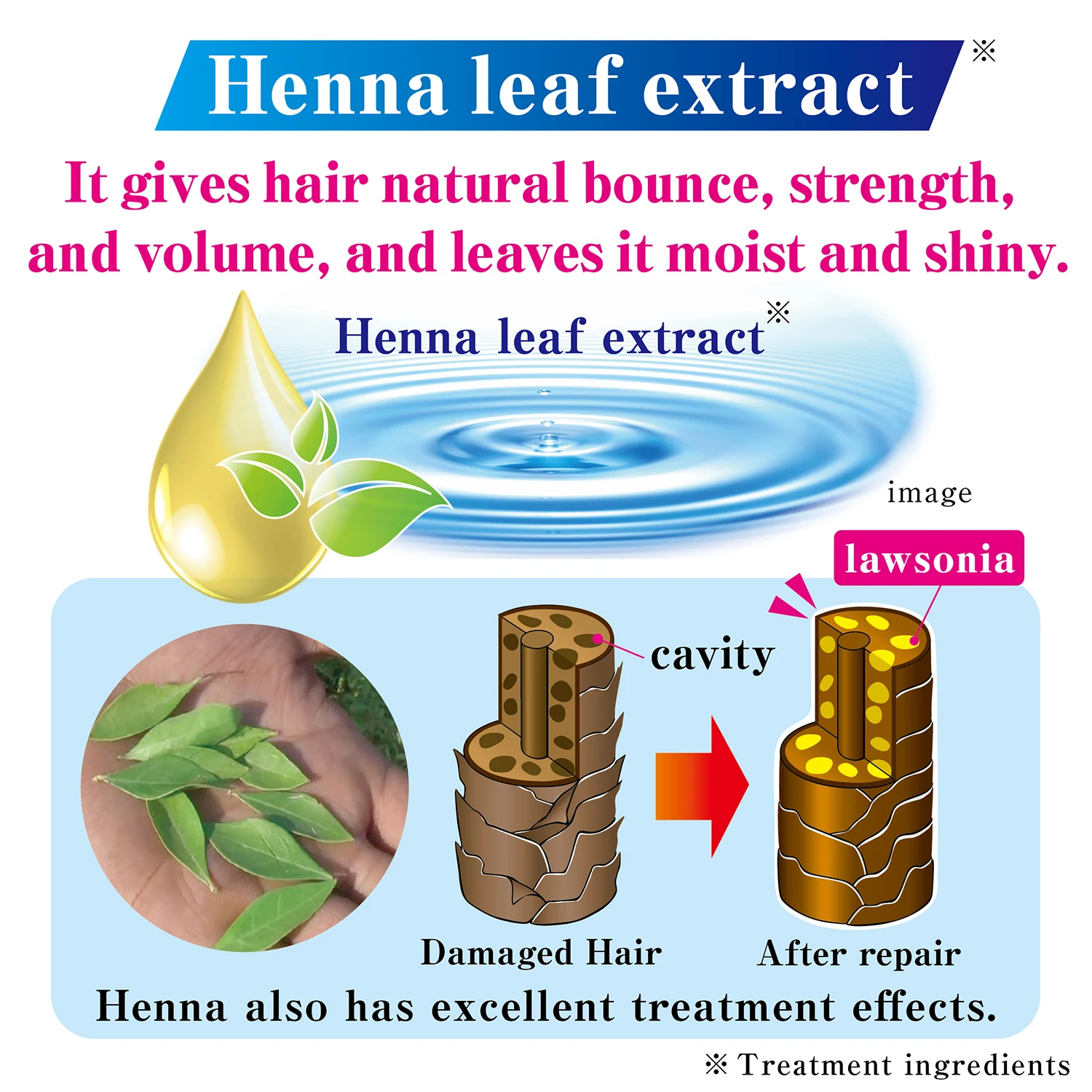 Japanese multi-purpose ammonia-free tenstar hena smooth natural shampoo hair care for men