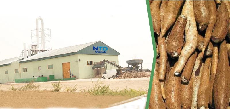 WHOLESALE ORGANIC WHITE ALPHA FLOUR WITH BEST COMPETITIVE PRICE