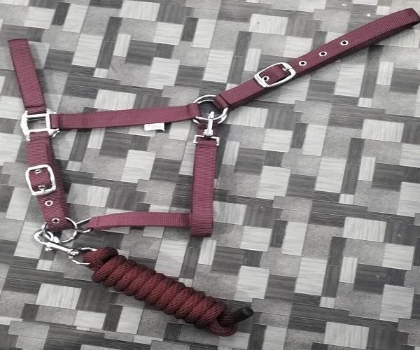Equestrian Horse Halter Nylon Workout Available Matching Lead Ropes Solid Brass Snap Hook Head Adjustable Horse Halter Tack Shop