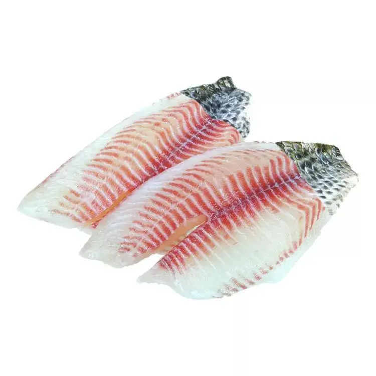 Hot Sale Tilapia Fish / Whole Round Live Black Fresh Tilapia Fish Wholesale in Bulk
