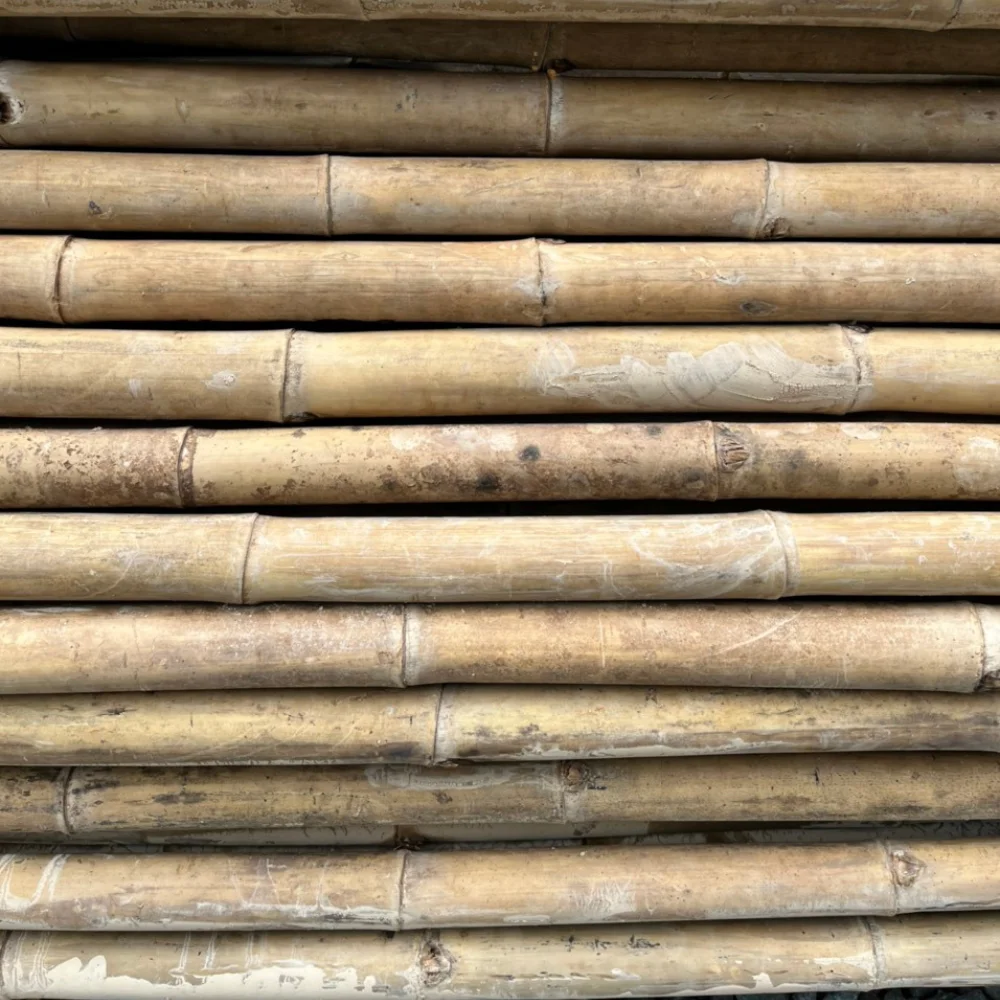 Bamboo Poles Decor Eco Friendly Products Natural Bamboo For Decor And Construction Bamboo Cane with Top Service