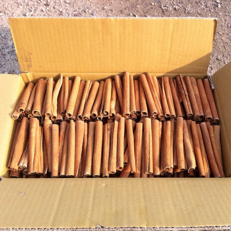 Cigarette Cassia - High Quality Vietnam Cassia Cinnamon Dried Style Customizable - Herbs & Spices at a Good Price