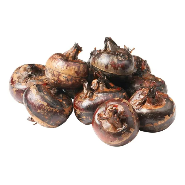 Вьетнамская мука водяного каштана оптом/порошок Burmef/Универсальный Порошок для пекарни/праздников