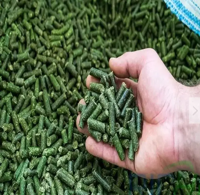 Pure Natural Alfalfa Hay and Pellets for Animal Feed