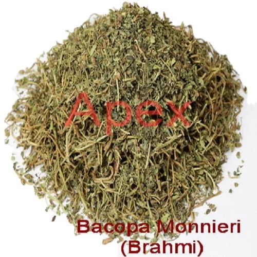 Bacopa Monnieri Bacopa Jal Brahmi Whole Plant dried Bramhi Herb