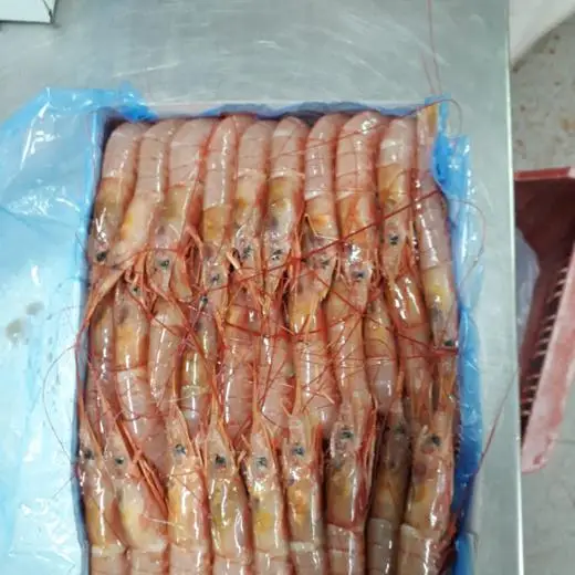 Wholesale Premium Vanamei Shrimp Frozen Black Tiger and White Shrimp Headless and Dried Packaged in Boxes