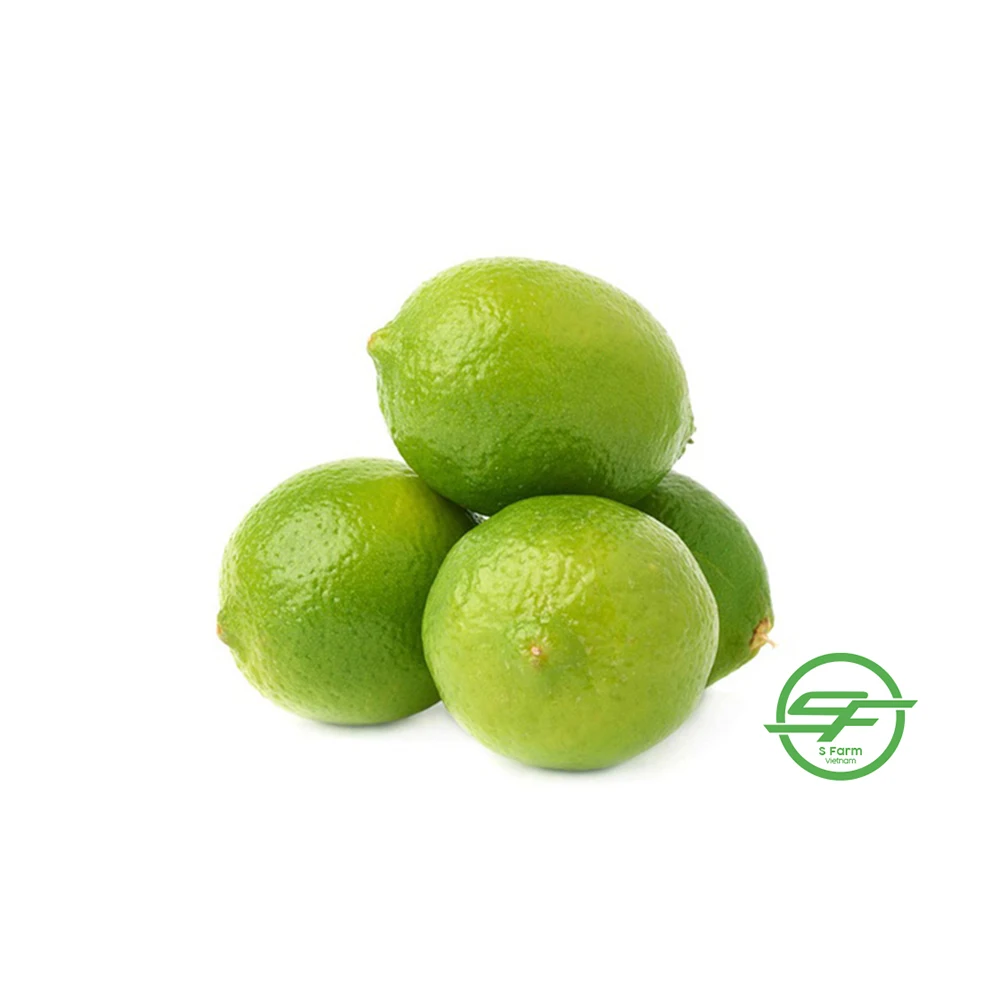 Superior quality lemon wholesale from Vietnam fresh lemon new season export natural fresh fruit