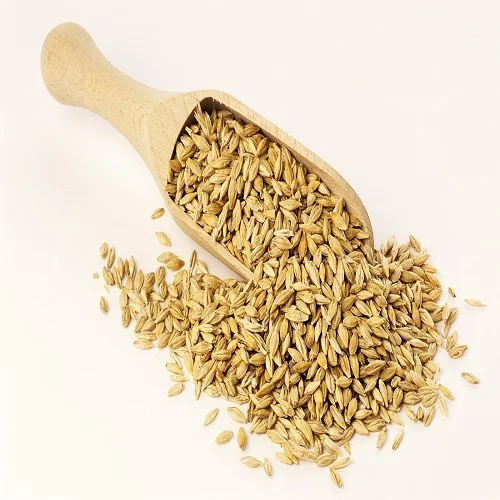 Barley Grains Premium Barley Seeds/Animal feed barley/bulk stocks ready for exports