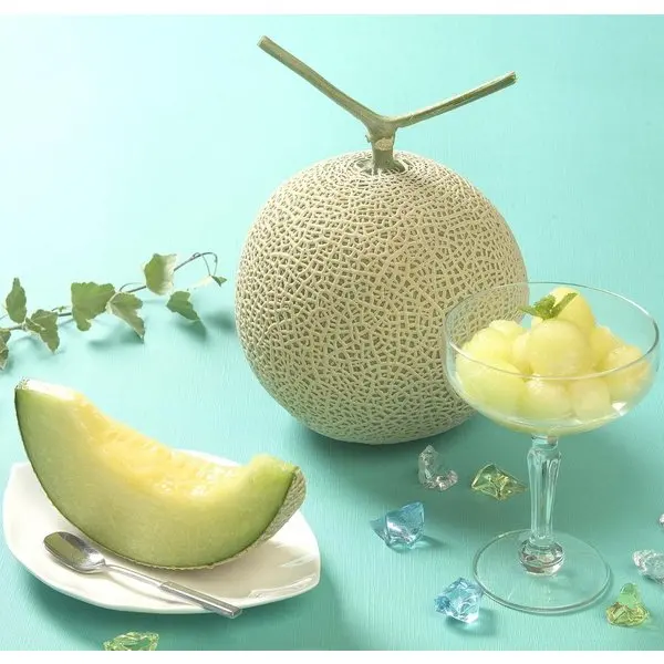 Japanese Musk Melon - Earls Melon