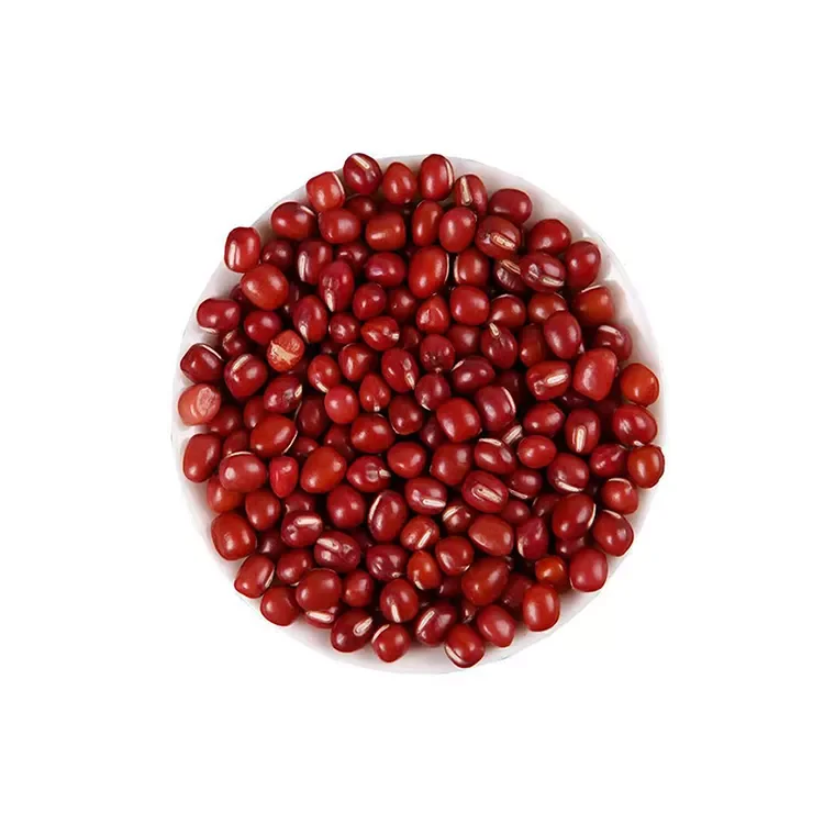 All Size Red and White Kidney   Beans